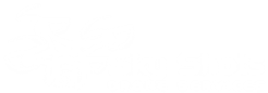 Sky Shots Drone Services